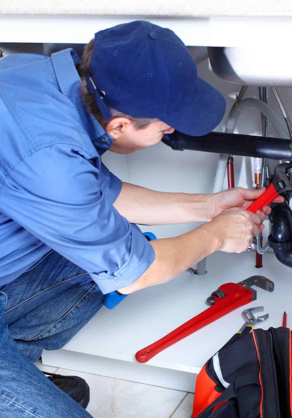 Plumber inspecting under sink for plumbing and fire protection systems.