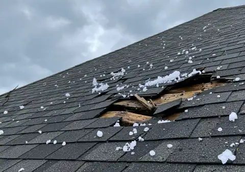 Plumbing and fire protection services for roof leaks and storm damage.